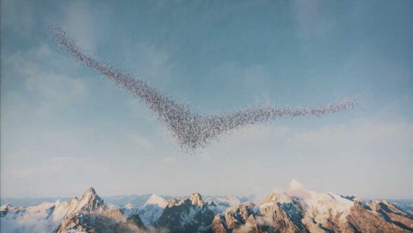 ProdCo: Leigh Powis (Thumbnail)